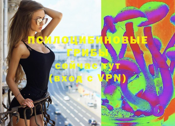 ГАЛЛЮЦИНОГЕННЫЕ ГРИБЫ Баксан