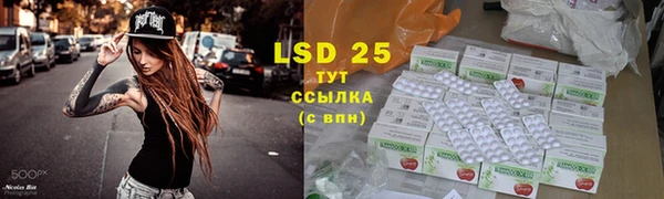 ГАЛЛЮЦИНОГЕННЫЕ ГРИБЫ Баксан