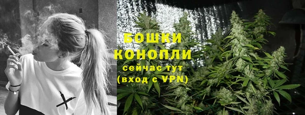 ГАЛЛЮЦИНОГЕННЫЕ ГРИБЫ Баксан